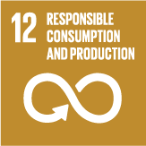 SDG 12