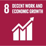 SDG 8