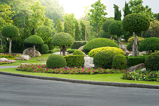 Urban Landscaping & Green Infrastructure Image