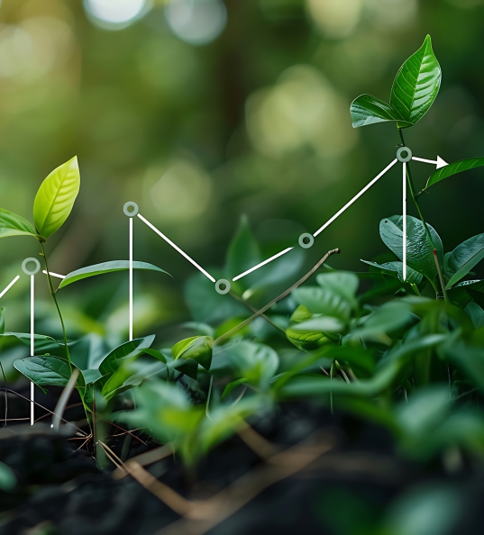 Data-Driven Insights